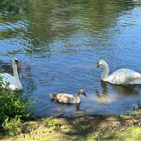 Bed & Breakfast Le Relais Du Bord De Seine 3*